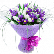 Утренняя свежесть